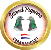 Verbaandert Logo